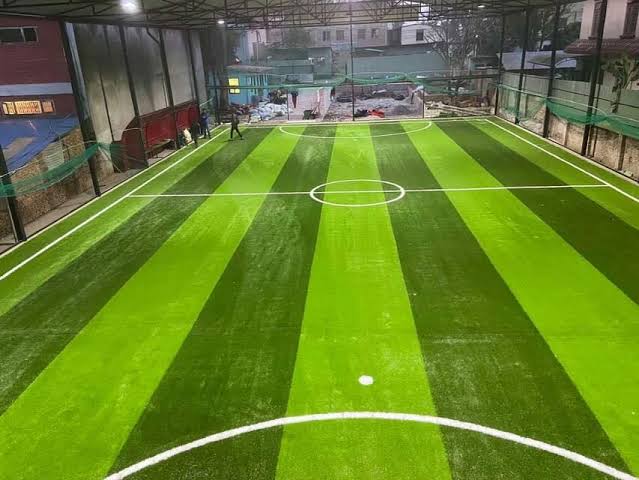 The arena